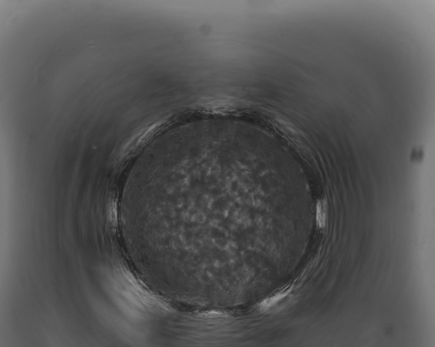 X0000089961155200707061134