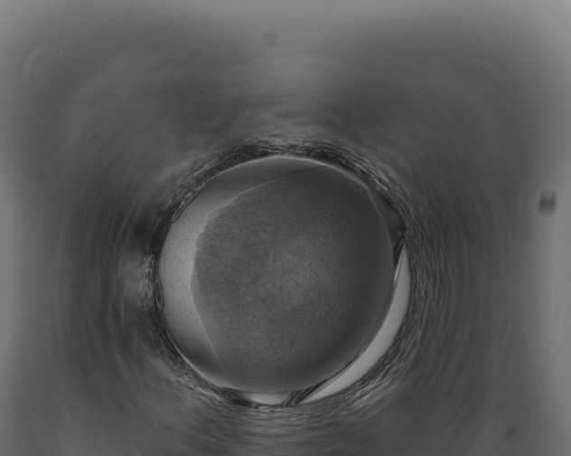 X0000089961156200707061134