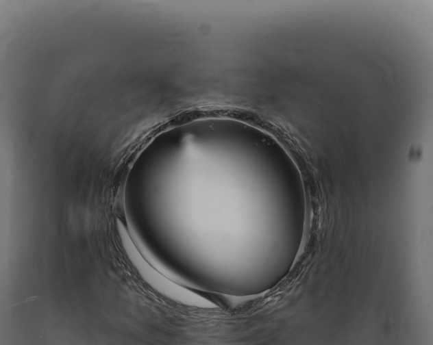 X0000089961157200707061134