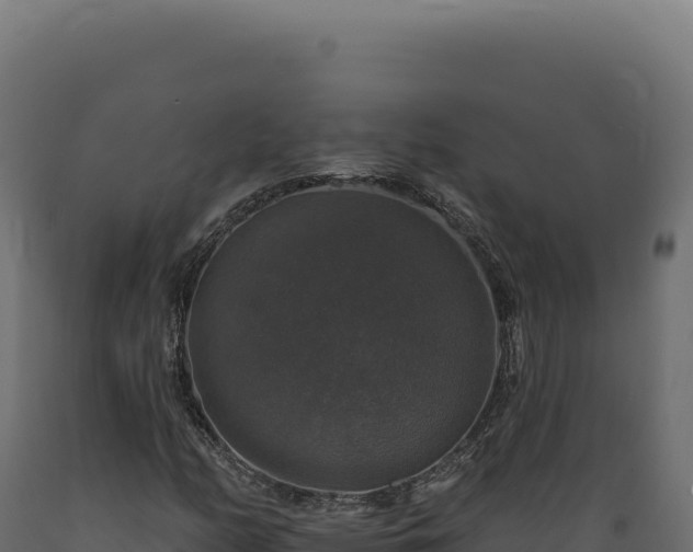 X0000089961158200707061134