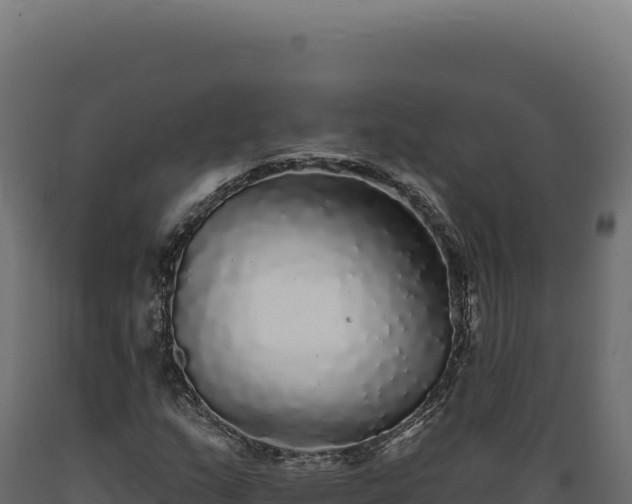 X0000089961159200707061134