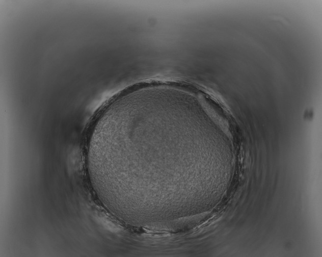 X0000089961160200707061134