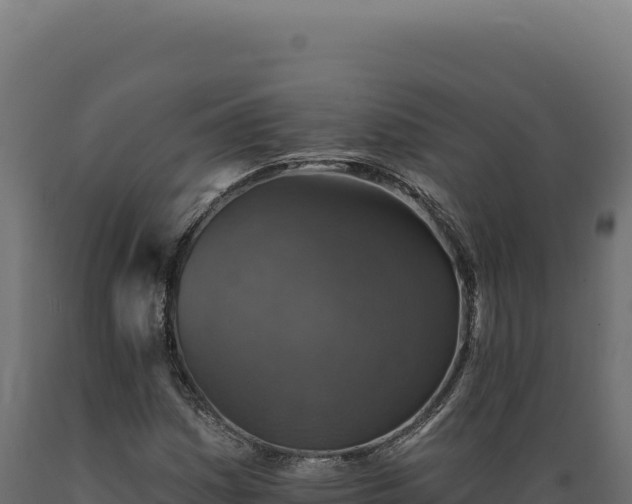 X0000089961161200707061134