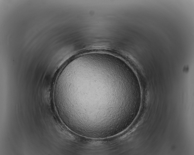 X0000089961162200707061134