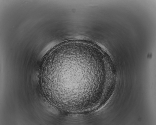 X0000089961163200707061134