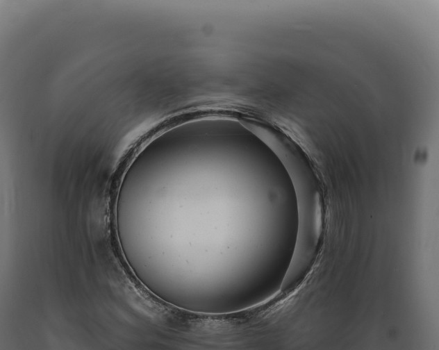 X0000089961164200707061134