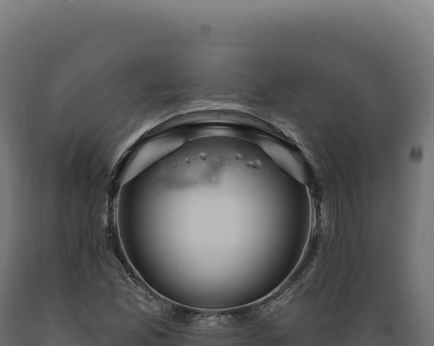X0000089961165200707061134