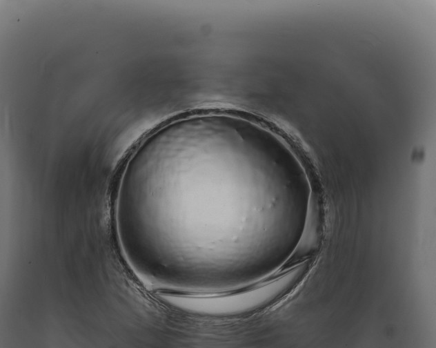 X0000089961167200707061134