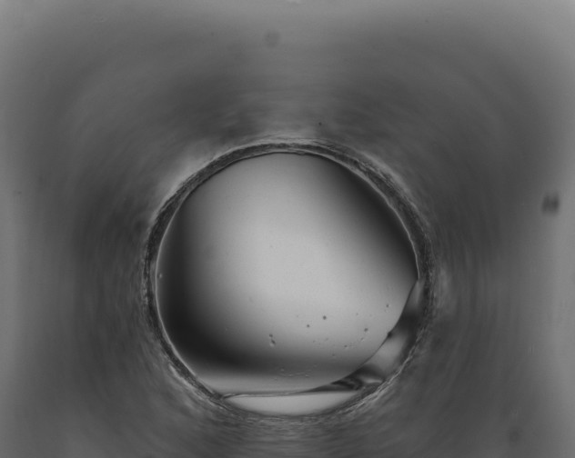 X0000089961168200707061134