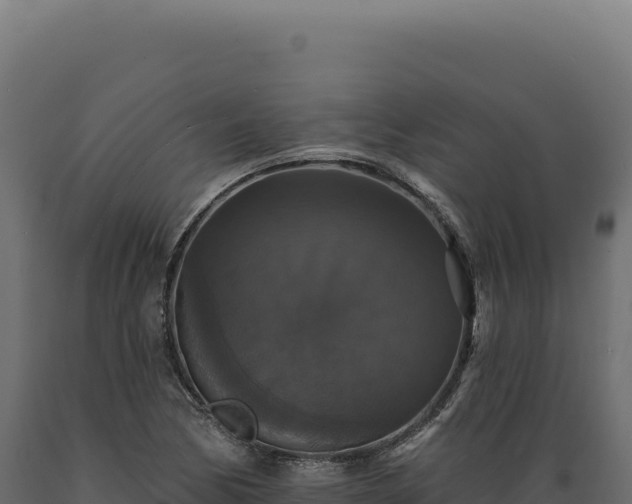 X0000089961170200707061134