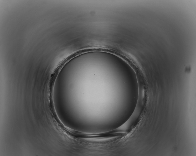 X0000089961172200707061134