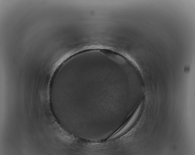 X0000089961173200707061134