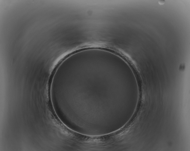 X0000089961174200707061134