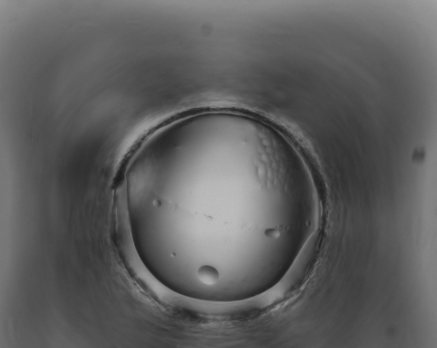 X0000089961175200707061134