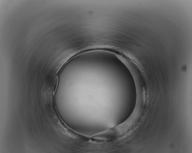 X0000089961177200707061134