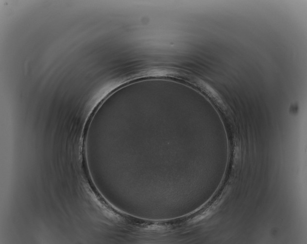 X0000089961178200707061134