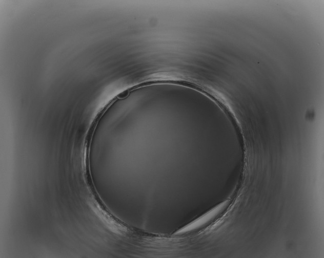 X0000089961179200707061134