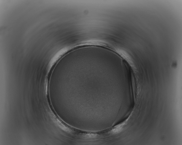X0000089961180200707061134