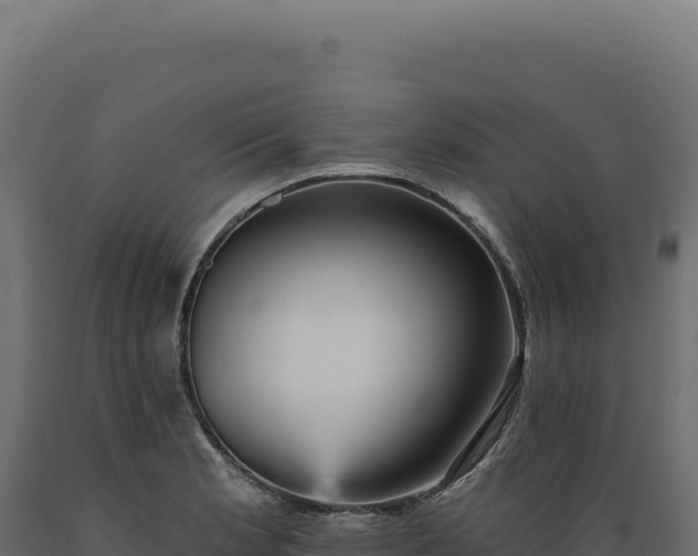 X0000089961181200707061134