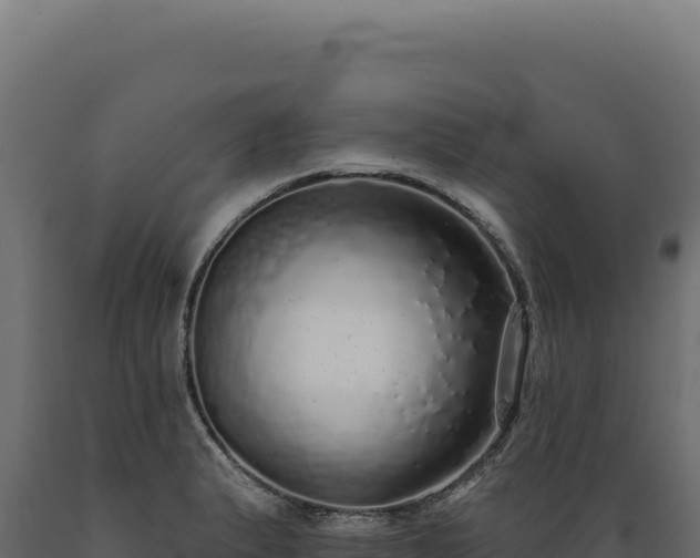 X0000089961183200707061134
