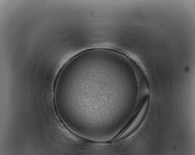 X0000089961184200707061134