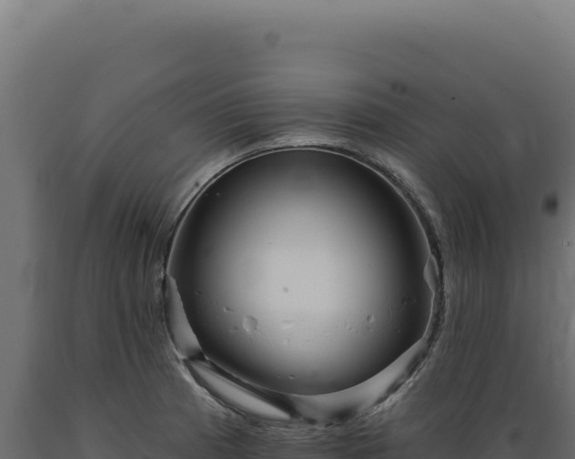 X0000089961185200707061134