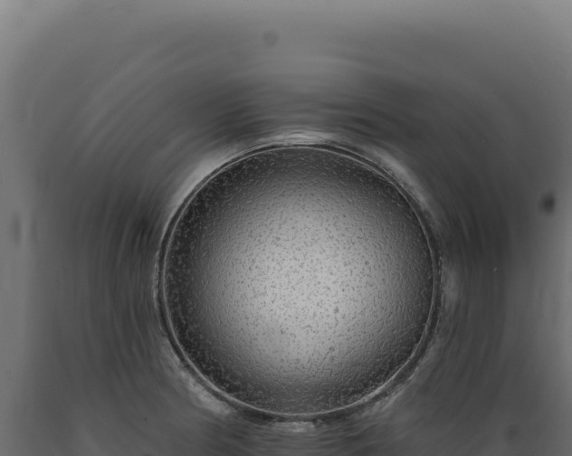 X0000089961186200707061134