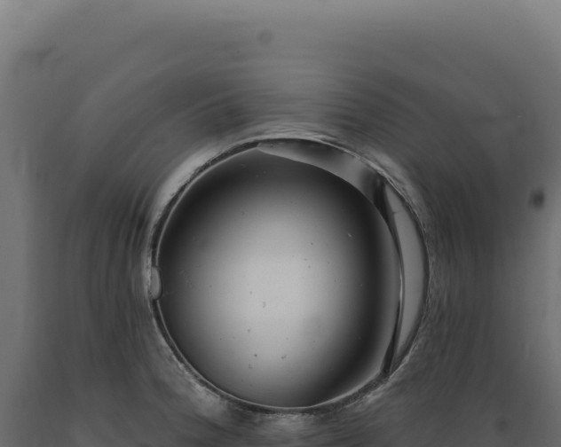 X0000089961188200707061134