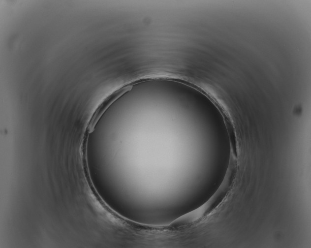 X0000089961189200707061134