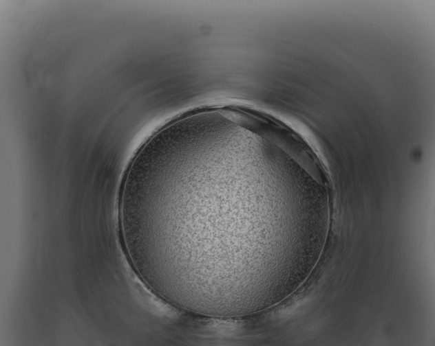 X0000089961191200707061134
