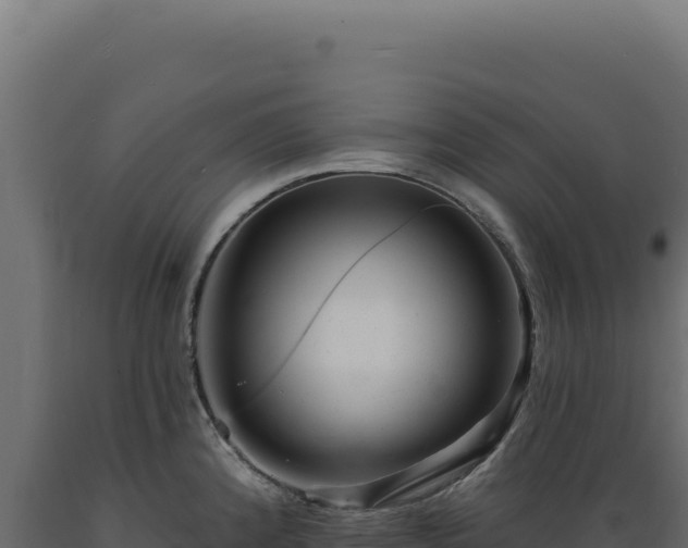 X0000089961192200707061134