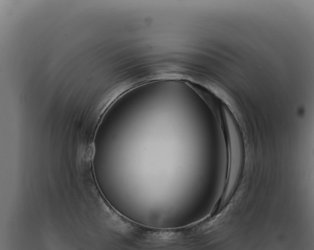 X0000089961193200707061134