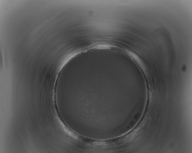 X0000089961194200707061134