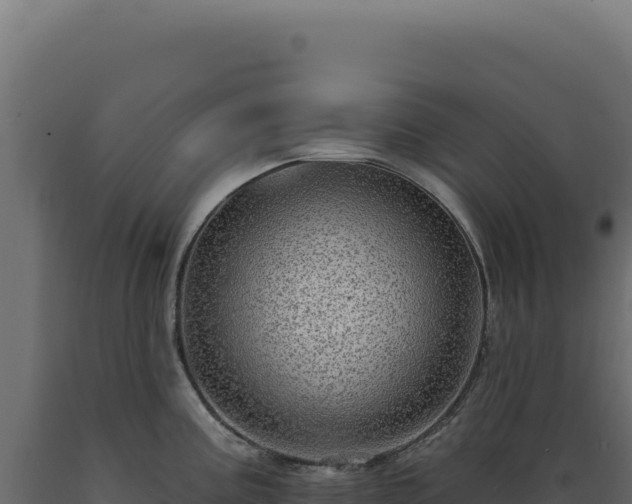 X0000089961195200707061134