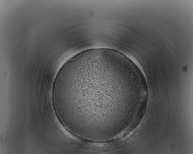 X0000089961197200707061134