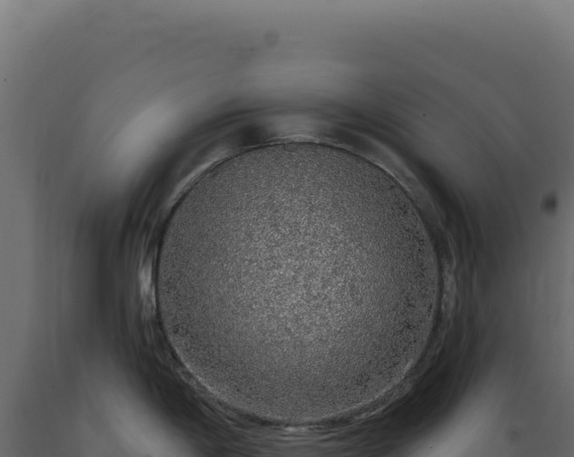 X0000089961198200707061134