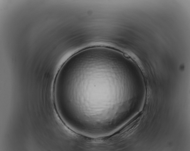 X0000089961199200707061134