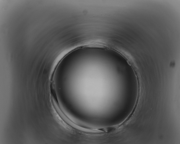 X0000089961200200707061134