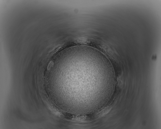 X0000089961201200707061133