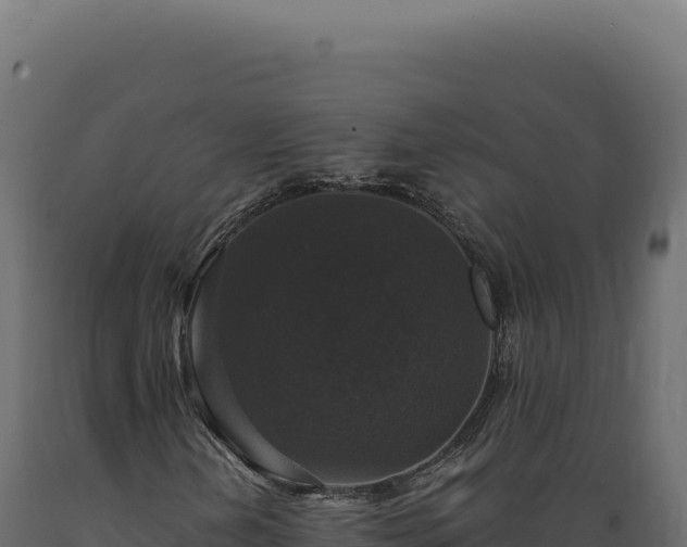 X0000089961202200707061133