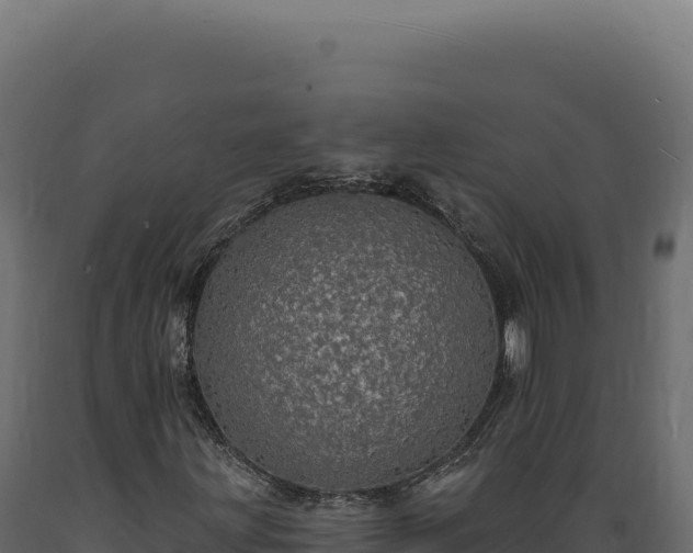 X0000089961203200707061133
