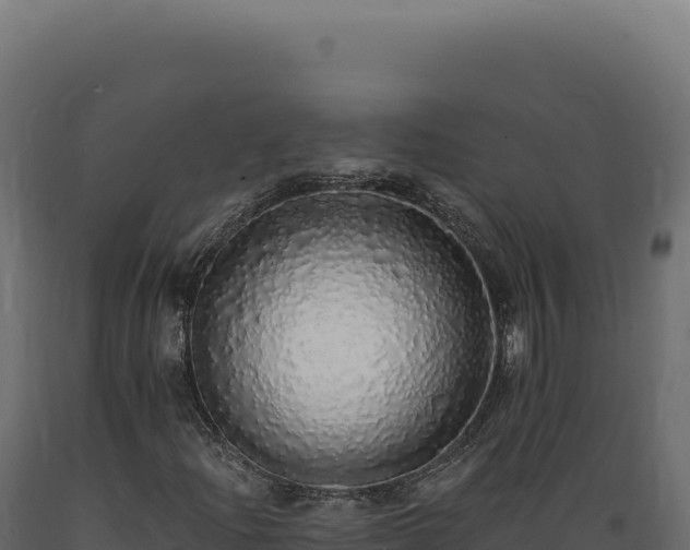 X0000089961204200707061133