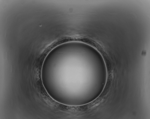 X0000089961205200707061133