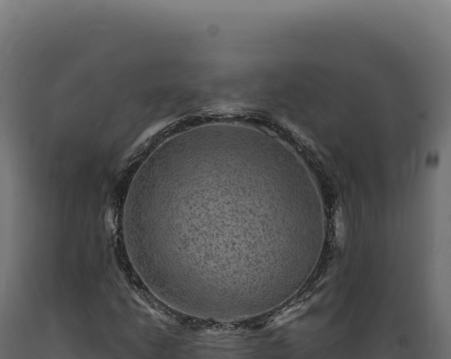 X0000089961206200707061133