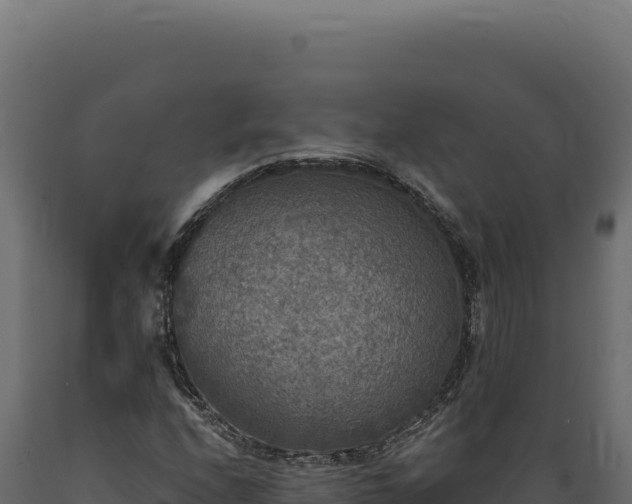 X0000089961208200707061133