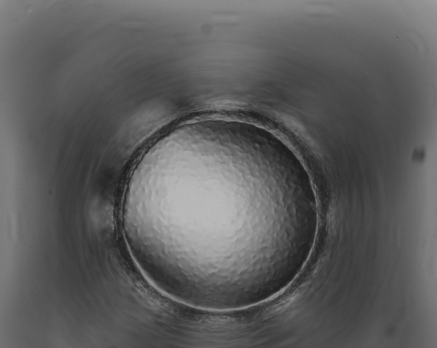 X0000089961209200707061133