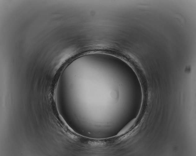 X0000089961210200707061133