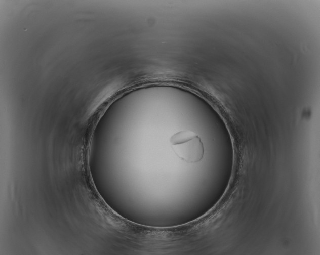 X0000089961211200707061133