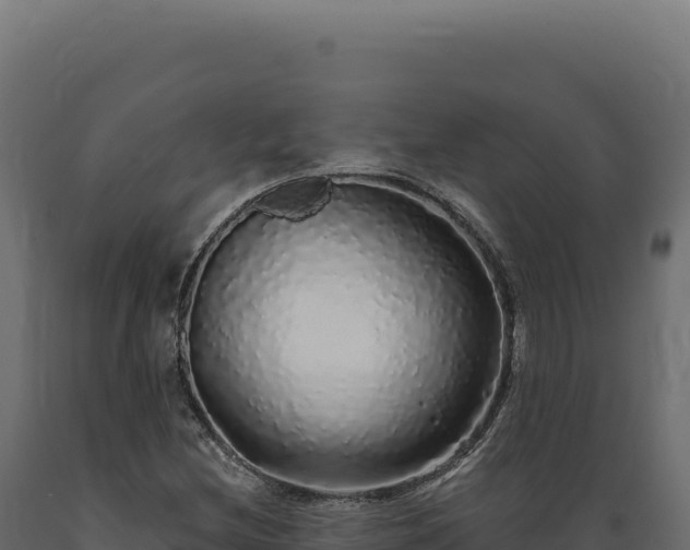 X0000089961212200707061133