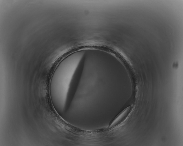 X0000089961213200707061133